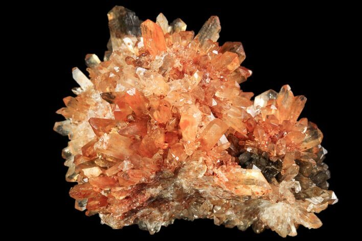 Orange Creedite Crystal Cluster - Durango, Mexico #84219
